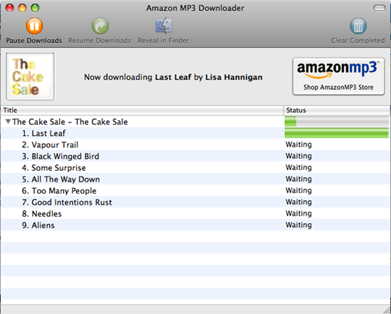 Buying Music: iTunes Store vs Amazon MP3 Downloads