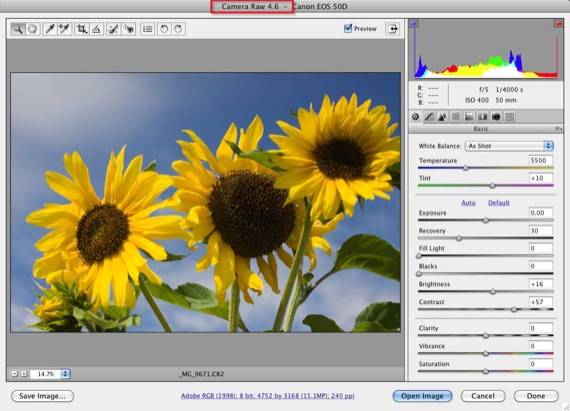 How To Edit RAW Photos in Adobe Camera Raw