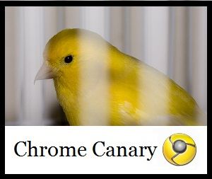 flash for chrome canary