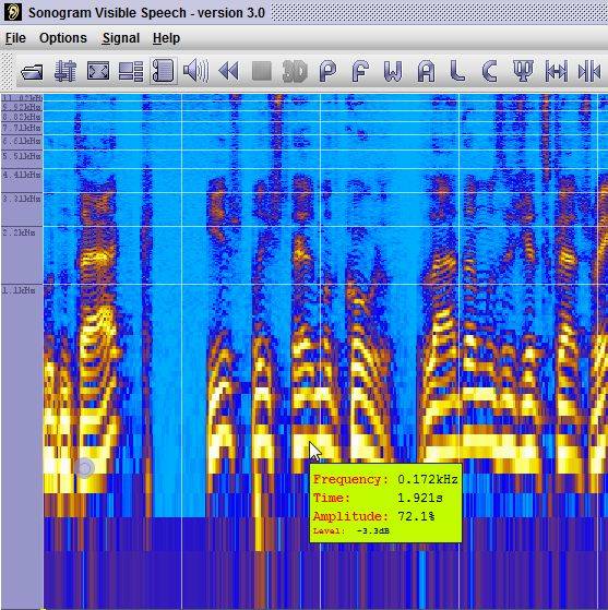 Word Sonogram Sonogram Visible Voice - Powerful Voice Spectrogram Software