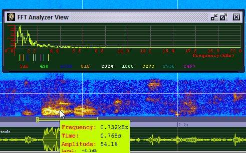 Word Sonogram Sonogram Visible Voice - Powerful Voice Spectrogram Software