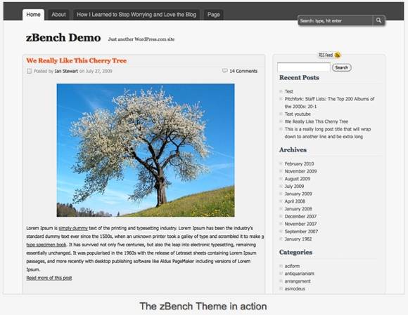 How To Make A Wordpress.com Blog Look Professional