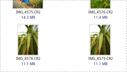 4 Great Tools for Editing RAW Photos in Linux
