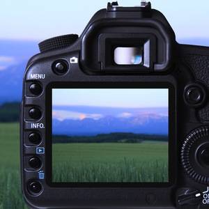 Best Setting In Camerasim Learn & Practice Camera Exposure Settings With CameraSim