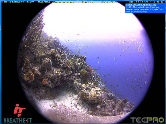10 Unique Live Webcam Feeds To Watch Around The World