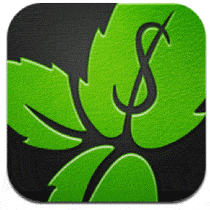 Mint.com On the iPad Makes It Easy To Track Your Spending