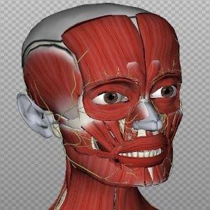 BioDigital Human - An Amazing 3D Map & Reference Of The Human Body