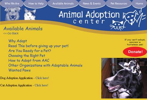 5 Best Animal Rescue Sites To Find Your Next Pet