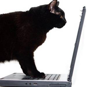 4 Ways To Prevent Computer-Related Eye Strain Without Losing Productivity