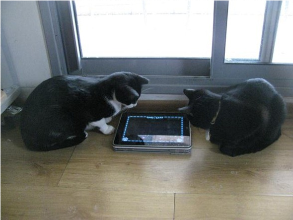 11 Unique Uses For The iPad That You've Probably Never Thought Of Before