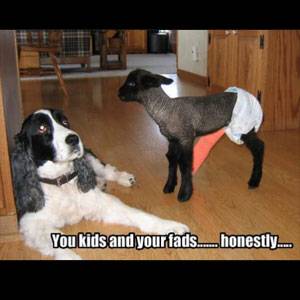 10 Internet Fads That Took The World By Storm...Briefly