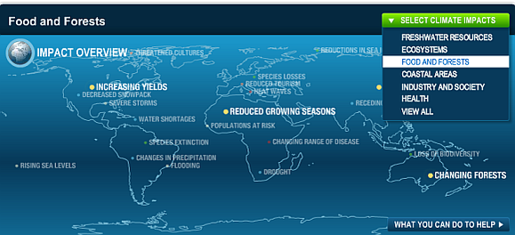 Interesting World Simulations For Predicting The Future & Understanding ...