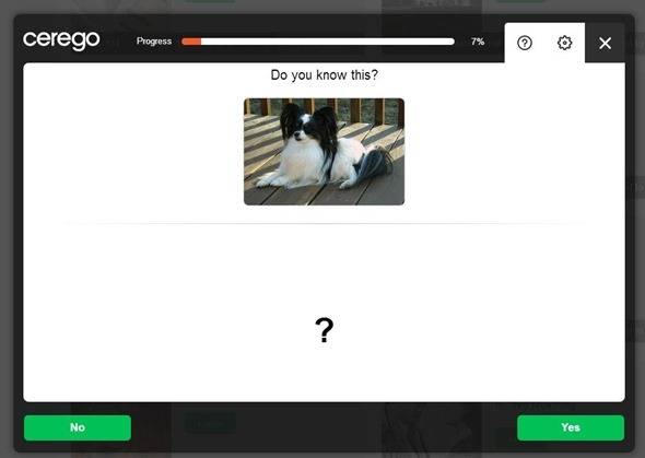 Cerego - A Powerful Learning Service That Tries To Make You Smarter ...