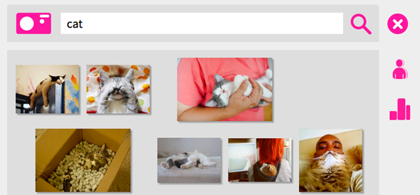 Top 6 Visual Search Engines for Finding the Image You Want