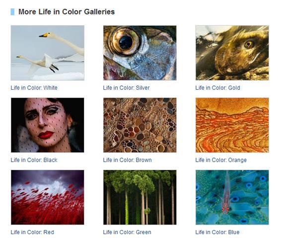 6 Addictive Ways To Play Around With Color And Spice Up Your Photography
