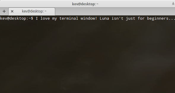 Looking For A Beautiful, Easy To Use Linux Distro? Try Elementary OS Luna