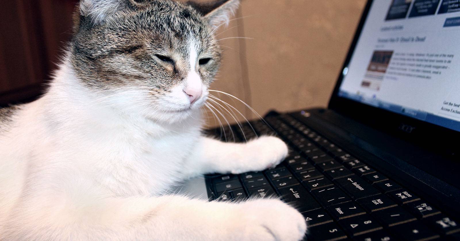 Picture of Log Into Life: Top 9 Tips To Fight Computer Fatigue & Protect Your Health