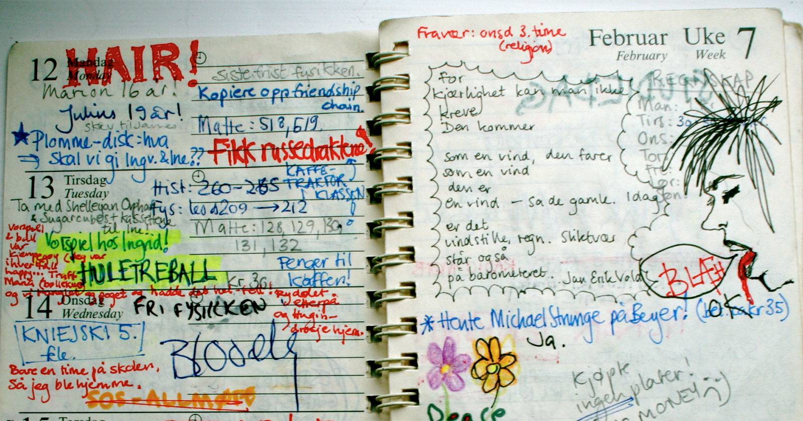 3 More Unique Diary & Journal Apps for Your iPad and iPhone
