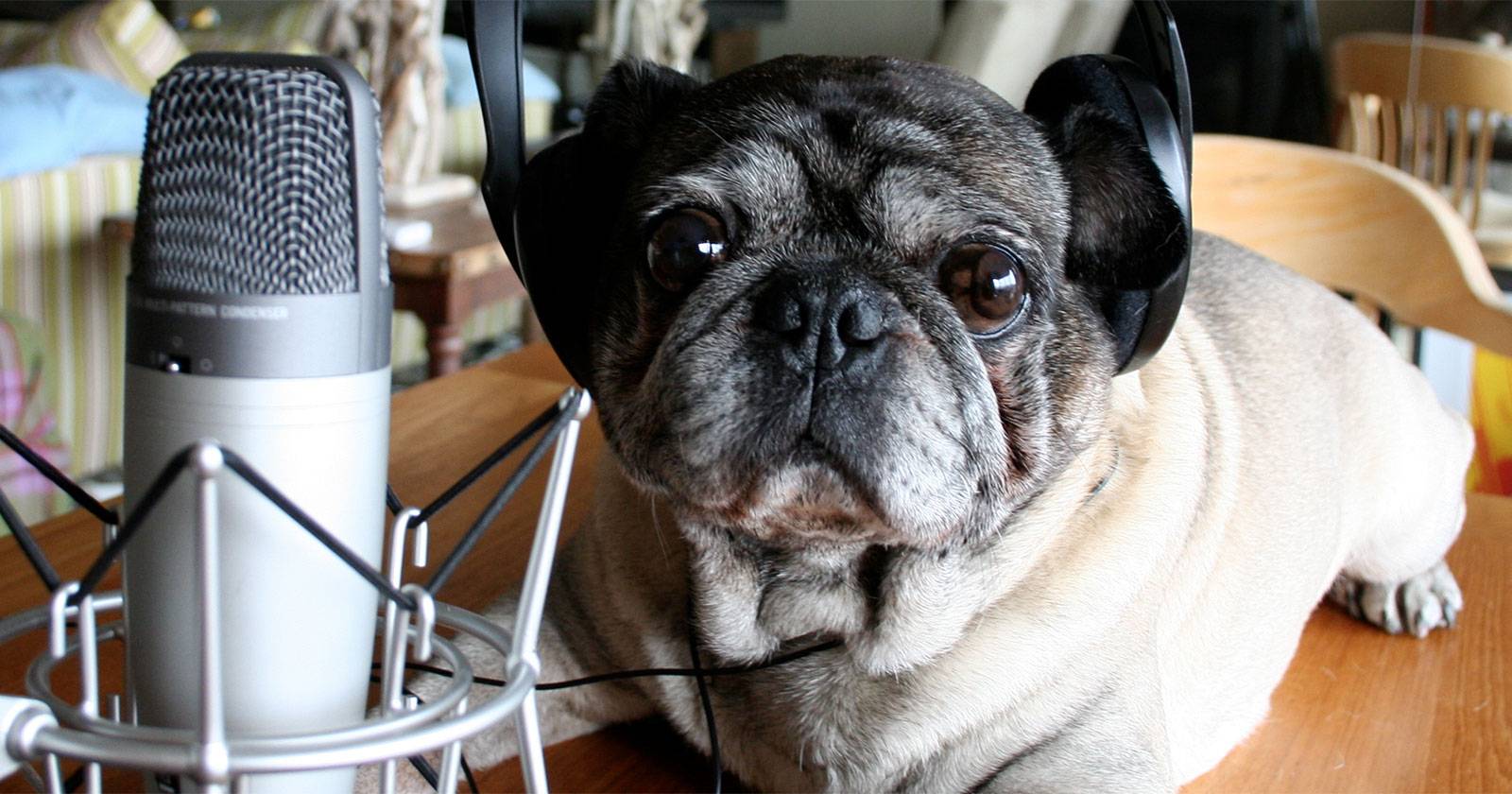 4 iPhone Applications That Will Turn You Into A Rap Superstar