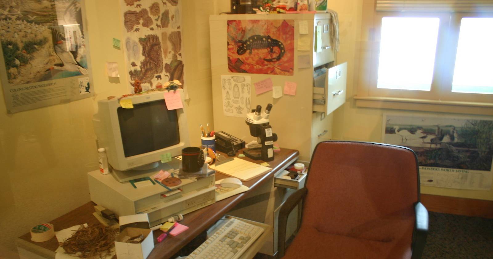 5 Ways to Get Your Hands on Academic Papers Without Losing Your Mind ...