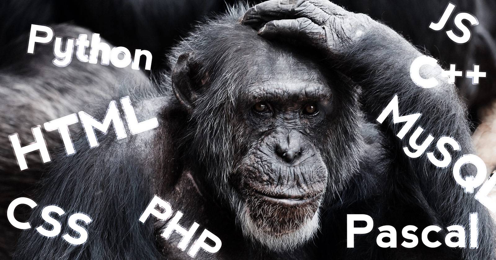 How To Pick A Programming Language To Learn Today & Get A Great Job In ...