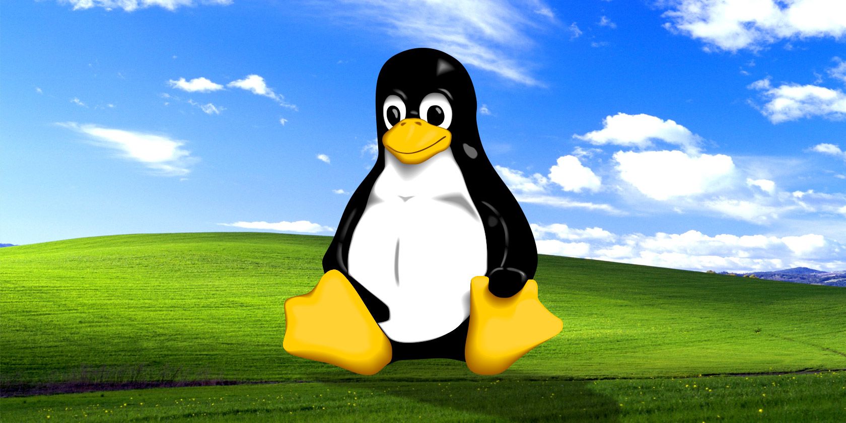 Лучший linux. Linux XP. Windows XP Linux. Windows XP Linux Wallpaper. Duck Windows XP desktop.