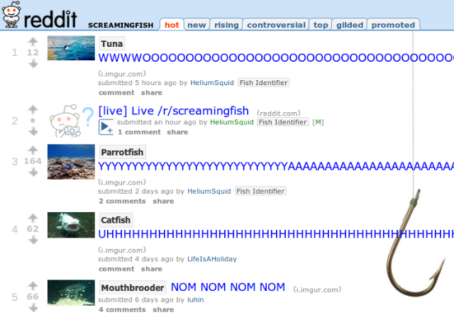 Random Reddit: 10 Bizarre Subreddits You Need To Explore [Weird ...