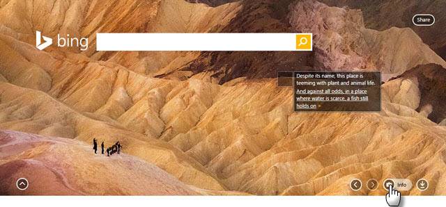 Improve Search & Learning Skills In Kids From The Bing Homepage