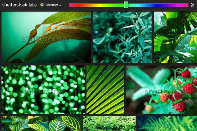 Shutterstock Labs: How to Find Perfect Stock Images and Videos