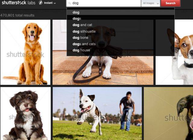 Shutterstock Labs: How to Find Perfect Stock Images and Videos