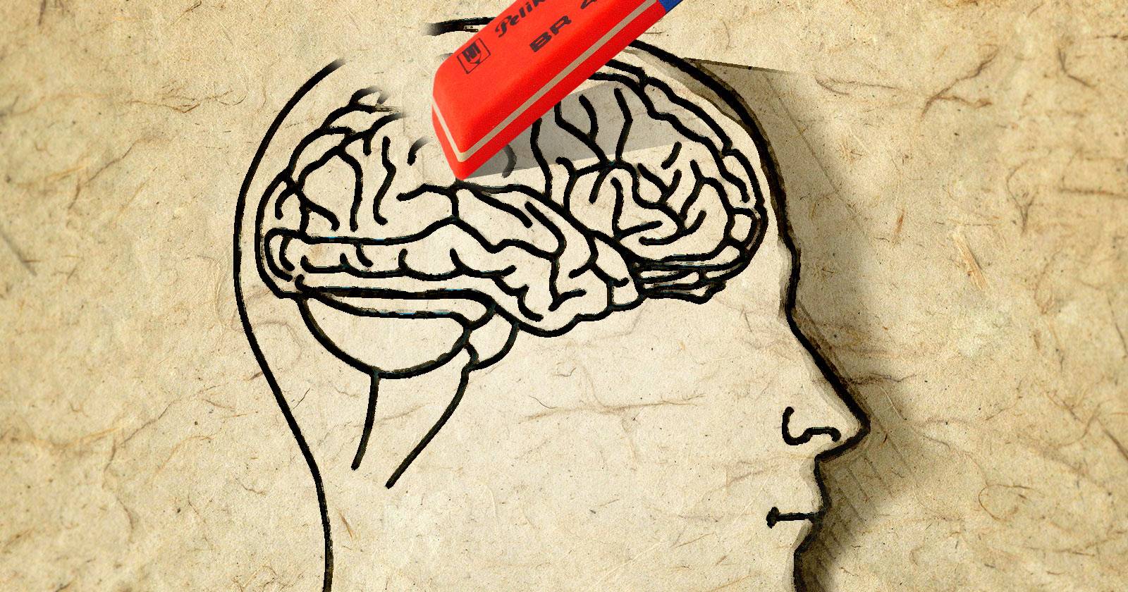 Is Lumosity a Lie? The Neuroscience Behind Brain Training Games