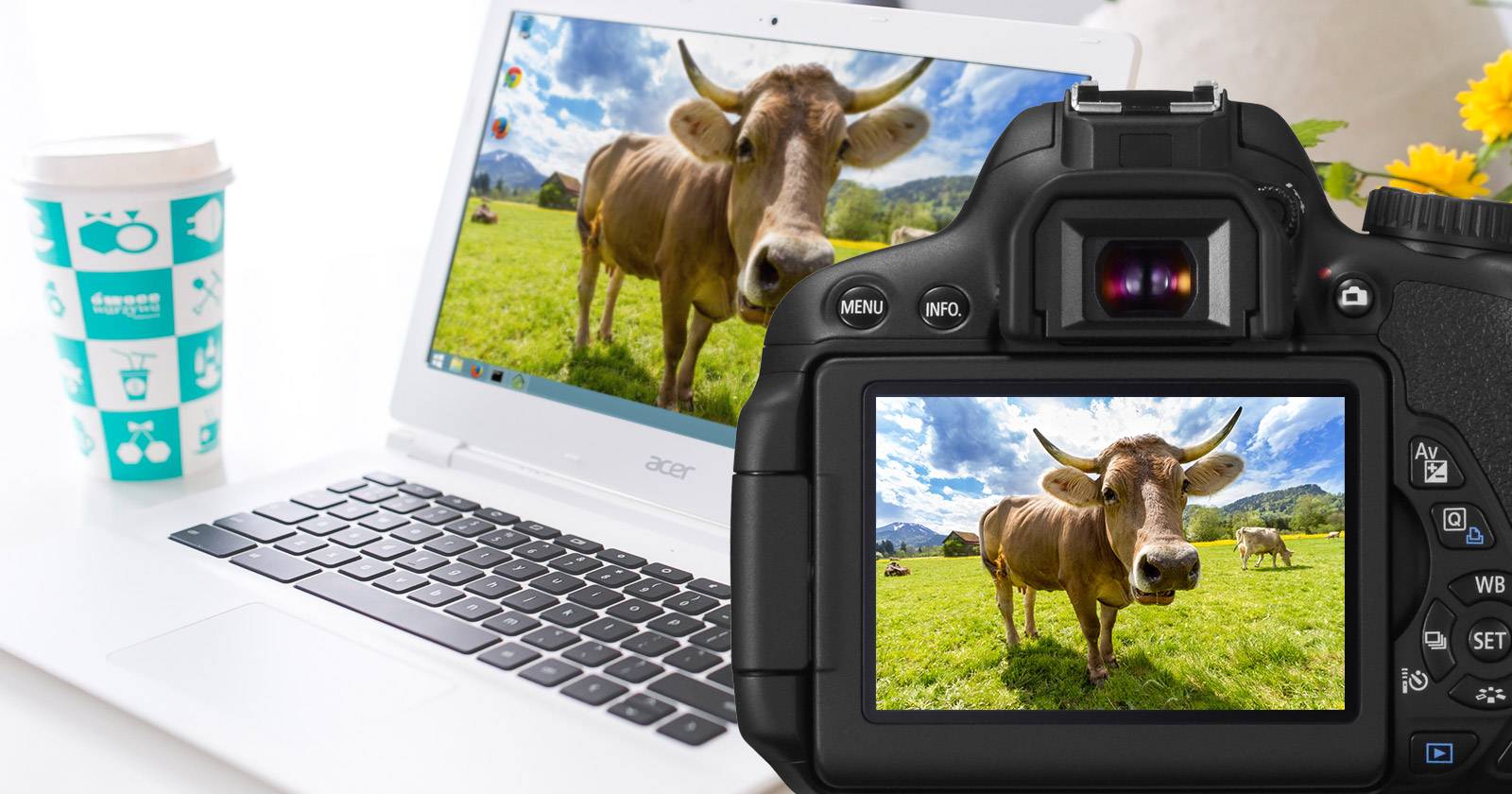 7 Photos You Can Take for a Perfect Desktop Wallpaper