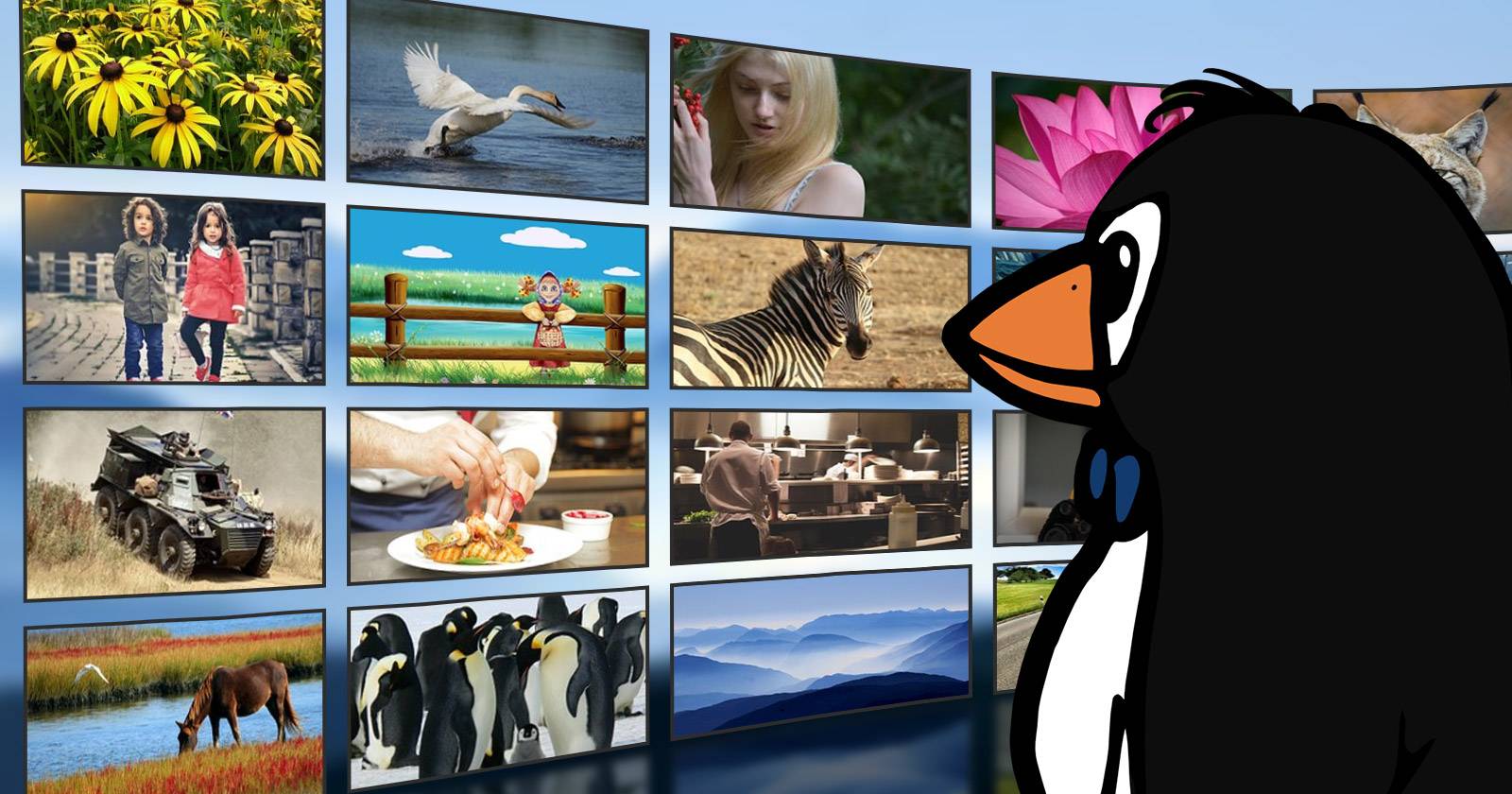 The Current State of Video Streaming Services on Linux
