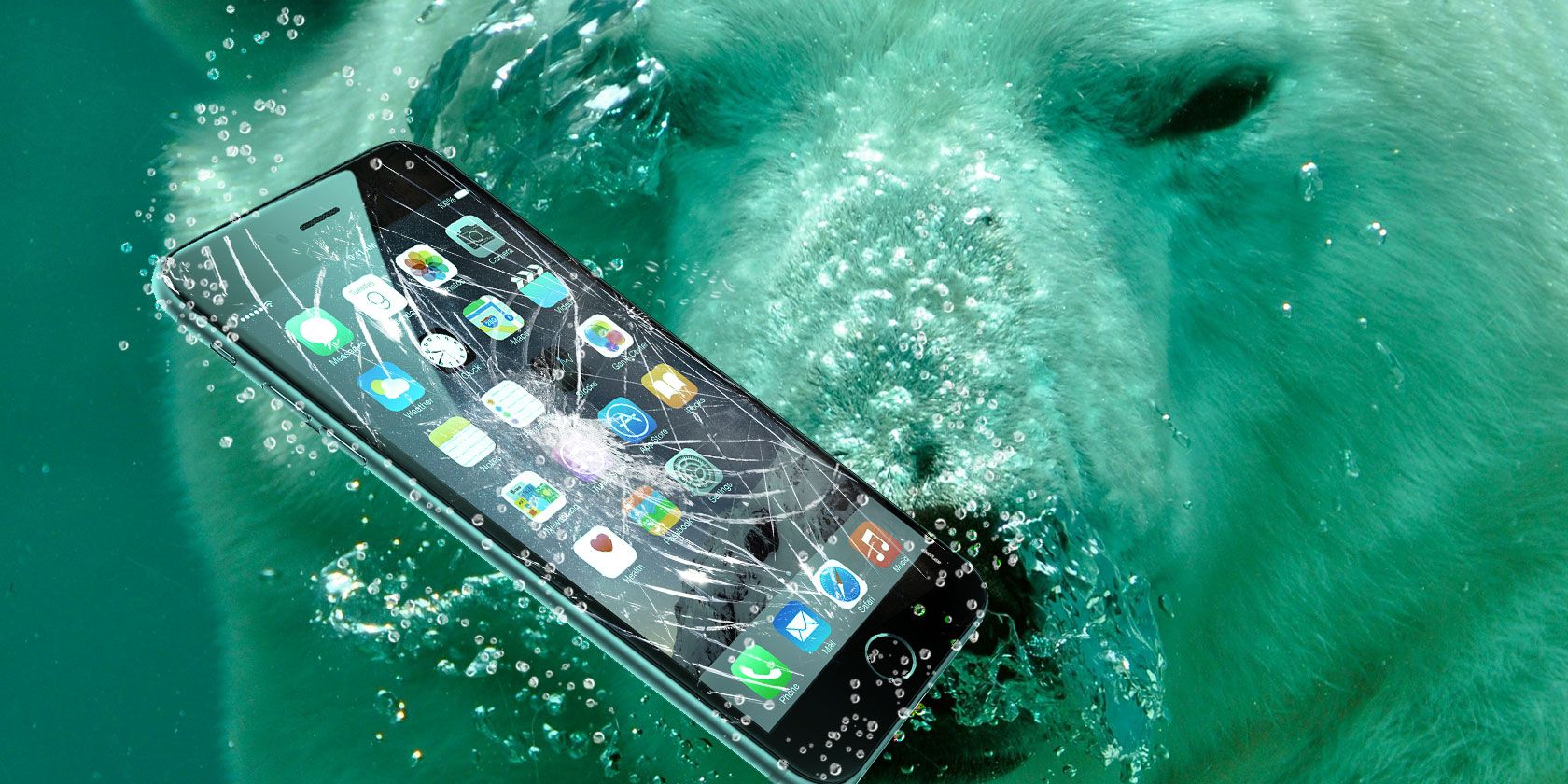 Do You Really Need Cell Phone Insurance? The Facts and