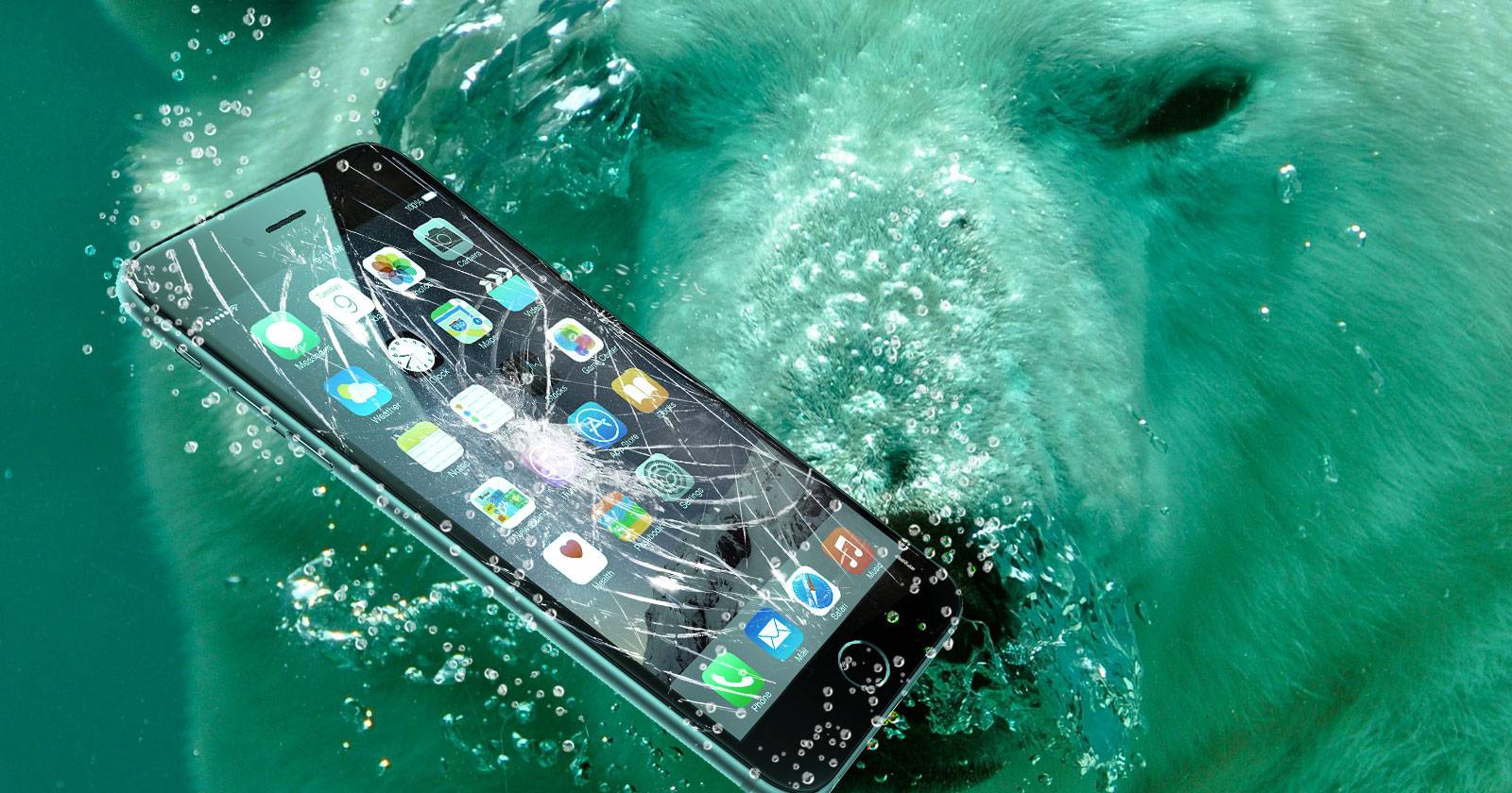 Do You Really Need Cell Phone Insurance? The Facts and Best Plans