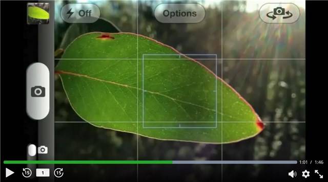 Learn to Take iPhone Photos Like a Pro with These Courses