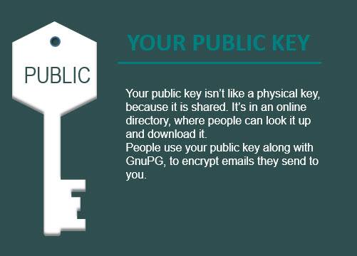 How to Make an Infographic for Free with PowerPoint