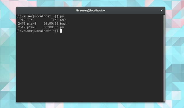 How to Kill Programs and Check System Information in Linux