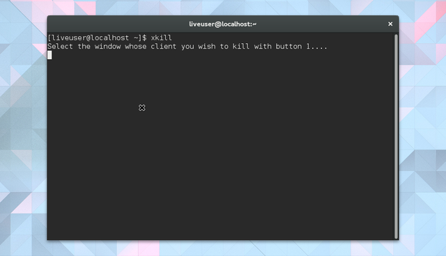 How to Kill Programs and Check System Information in Linux