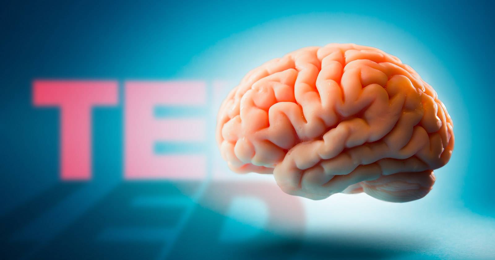 11 Fantastic TED Talks That Explain How Your Brain Works