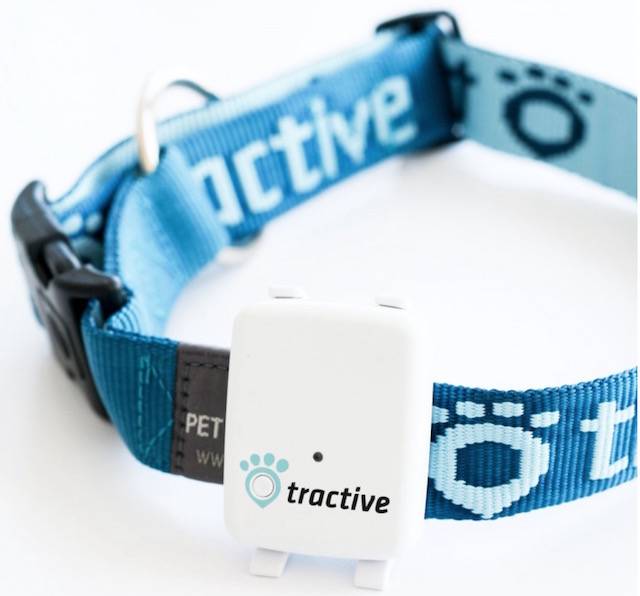How to Track Your Pets Using iOS or Android