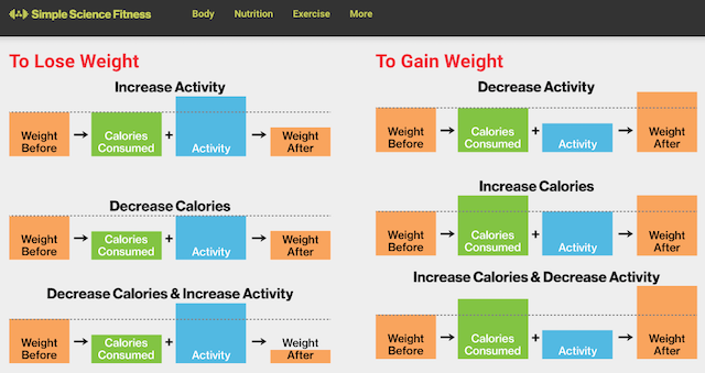 5 Remarkable Websites to Help You Understand Your Health & Fitness