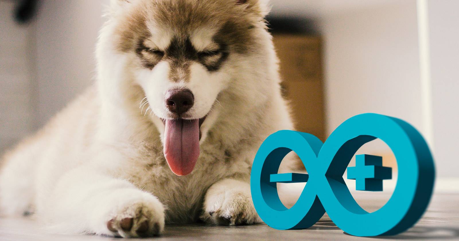 Pamper Your Pets with These Arduino-Powered Projects