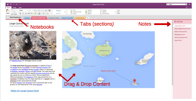 Migrating From Evernote to OneNote? Everything You Need to Know!