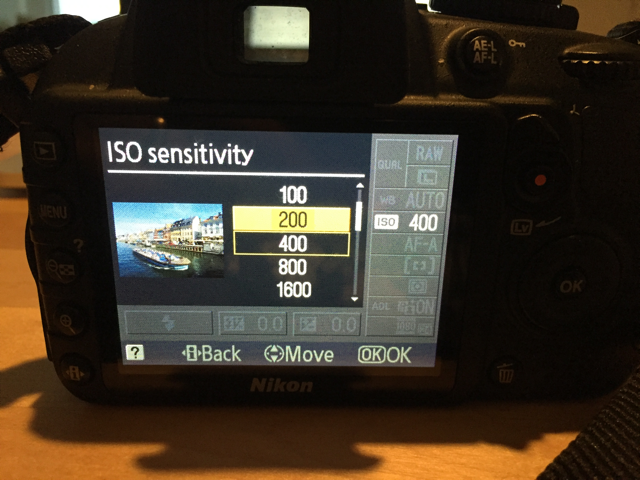 How Does Your Camera's ISO Setting Affect Your Photos?