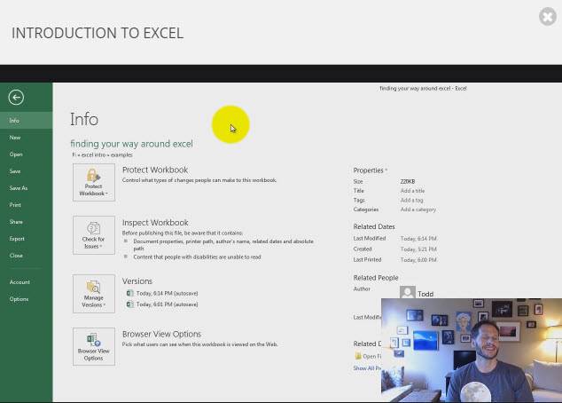 Learn Excel Starting Today with These 5 Excellent Udemy Courses
