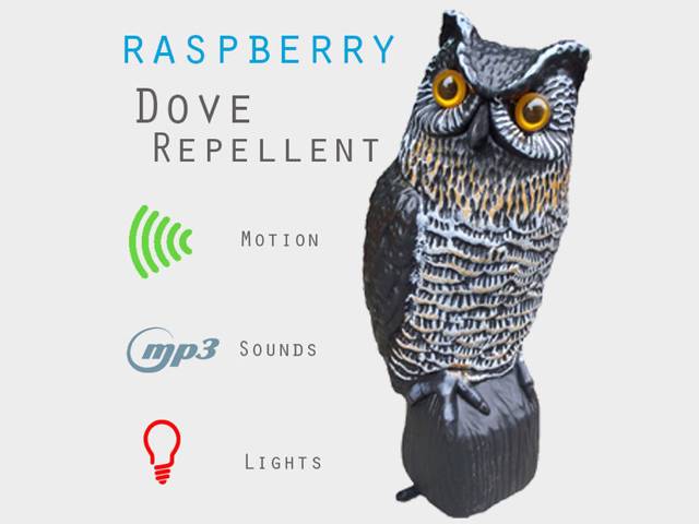 Raspberry Bizarre 10 Weirdest Raspberry Pi Projects