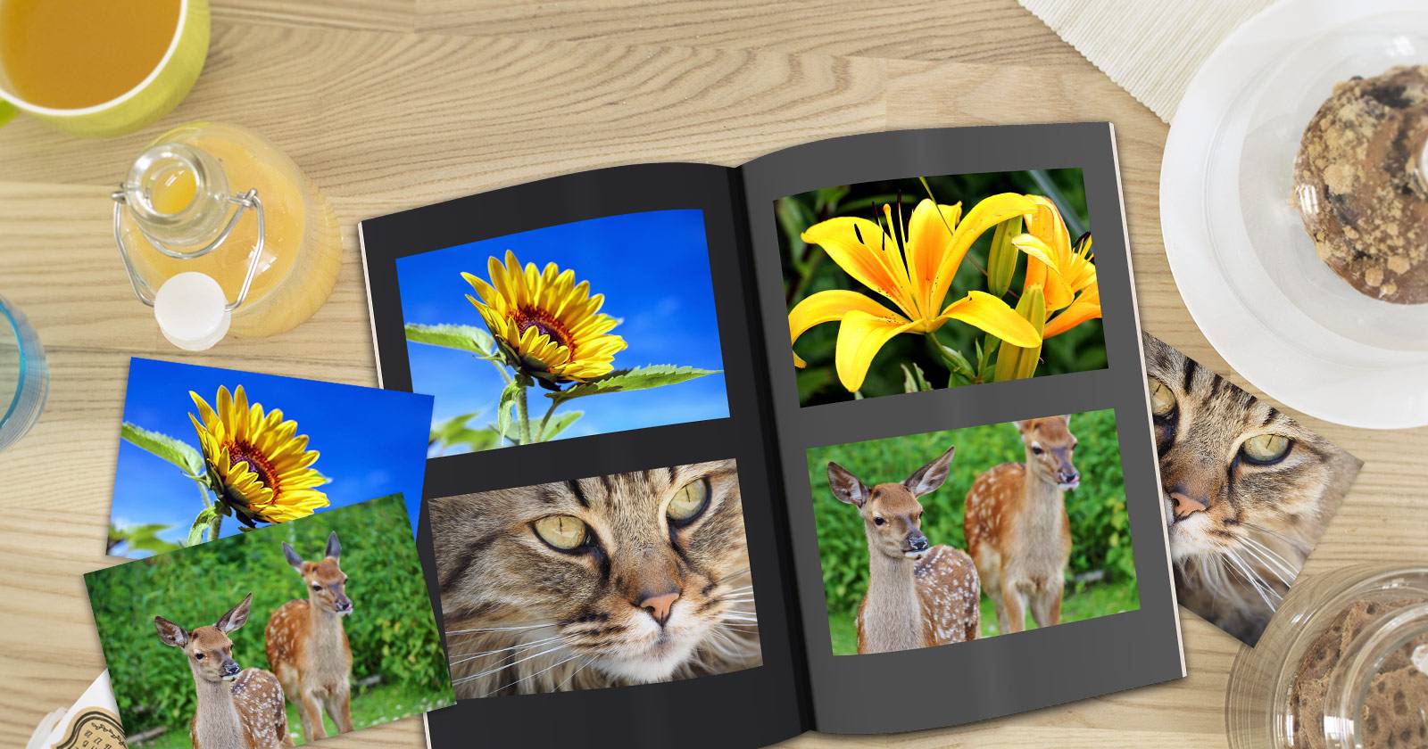 Digene Photo Books Make Your Digital Photos Stand Out with These 6 Unique Photo Books