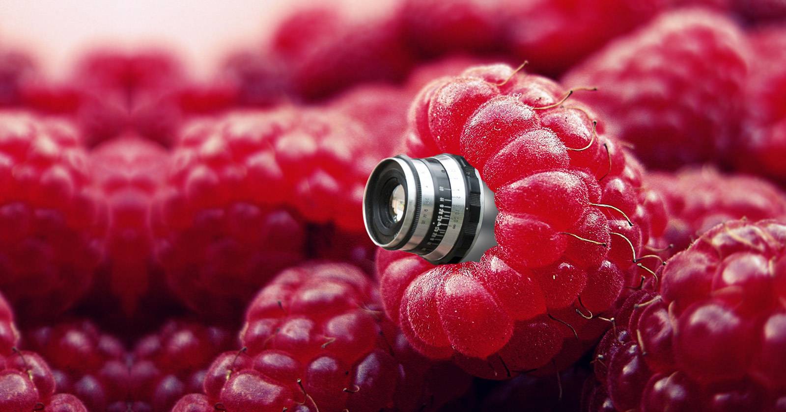 5 Weird Yet Useful Raspberry Pi Camera Projects