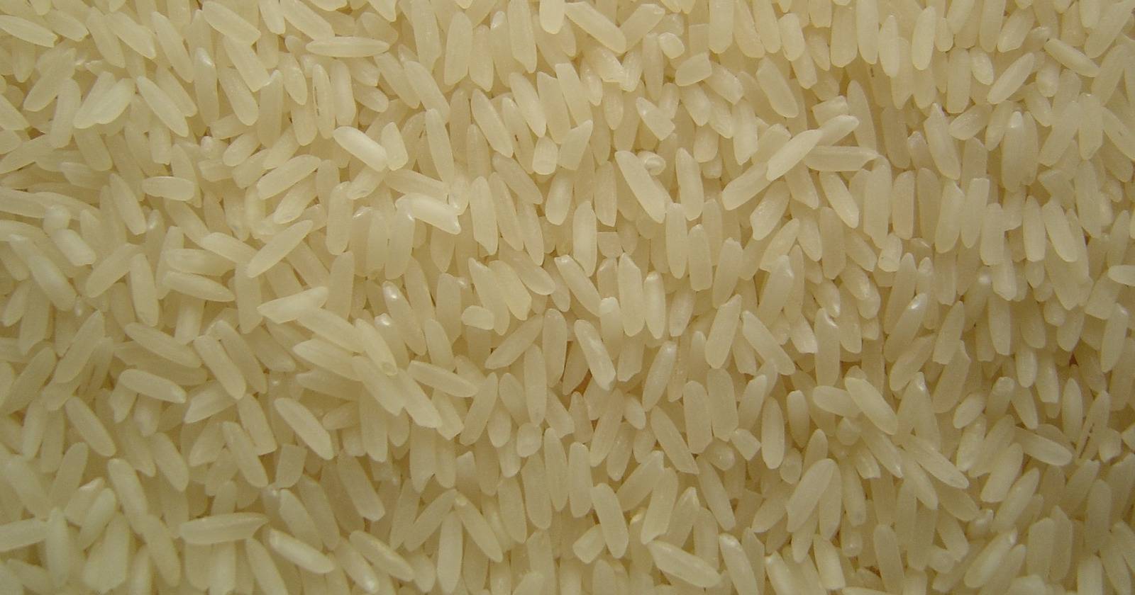 Play This Trivia Game and Help End World Hunger
